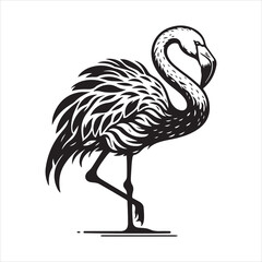 Female Chilean Flamingo