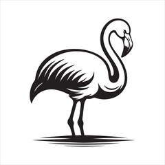 Female Chilean Flamingo