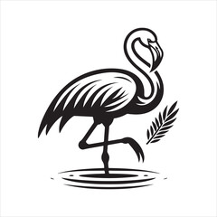 Female Chilean Flamingo