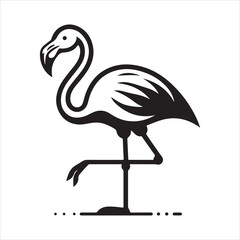 Female Chilean Flamingo