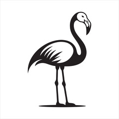 Female Chilean Flamingo