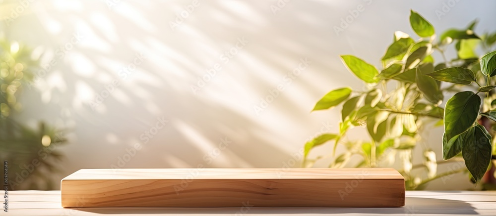 Aufkleber A wooden board with shadows and a blurred background from a spring window creates a copy space image perfect for showcasing products on a sunny warm day
