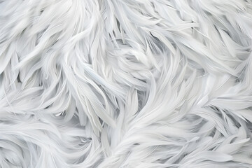 Colored gradient feather backgrounds close up