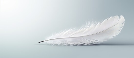 The background is a serene and minimalistic canvas displaying a delicate white and grey feather with subtle stripes casting an enchanting shadow copy space image