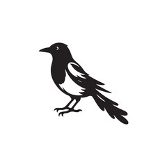 Magpie Bird Silhouette: Vector Illustrations Capturing the Tranquility of the Natural World - Magpie Bird Vector  - Magpie Bird Illustration.