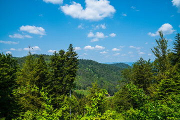 Fototapeta premium Germany, Breathtaking black forest schwarzwald nature landscape panorama view above green woodland on sunny day with blue sky
