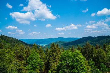 Germany, Endless scenic panorama view above green woodland of black forest schwarzwald nature landscape on sunny day