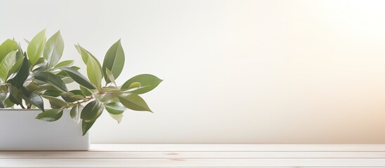 An editing friendly background for product display featuring a white wooden surface with blurred leaves Perfect for a clean and versatile copy space image