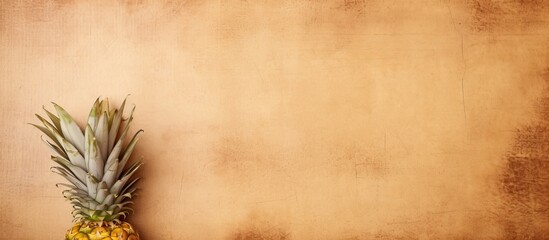 A square copy space image of a textured stylish old paper background featuring a pineapple from the small island of El Hierro in the Canary Islands 138 characters