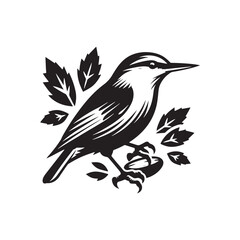 Nuthatch Bird Silhouette: Vector Illustrations Ideal for Wildlife Art and Decorative Projects- Nuthatch Bird Vector - Nuthatch Bird Illustration.
