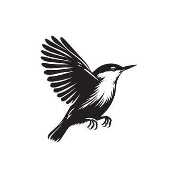 recommend clip art: Nuthatch Bird Silhouette: Vector Illustrations Ideal for Wildlife Art and Decorative Projects- Nuthatch Bird Vector - Nuthatch Bird Illustration.
                    