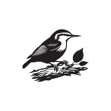 recommend clip art: Nuthatch Bird Silhouette: Vector Illustrations Ideal for Wildlife Art and Decorative Projects- Nuthatch Bird Vector - Nuthatch Bird Illustration.
                    