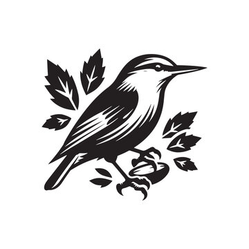 recommend clip art: Nuthatch Bird Silhouette: Vector Illustrations Ideal for Wildlife Art and Decorative Projects- Nuthatch Bird Vector - Nuthatch Bird Illustration.
                    
