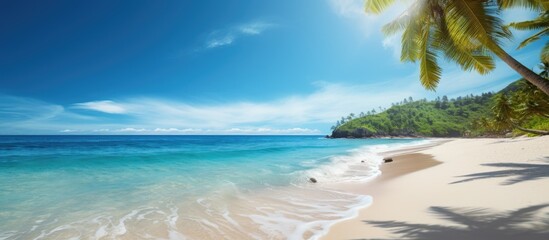 Fototapeta premium A scenic tropical beach with sandy shores crystal clear ocean waters lush palm leaves and a vibrant blue sky provides a picturesque copy space image