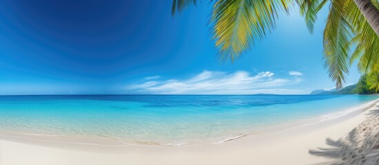 Fototapeta premium A scenic tropical beach with sandy shores crystal clear ocean waters lush palm leaves and a vibrant blue sky provides a picturesque copy space image
