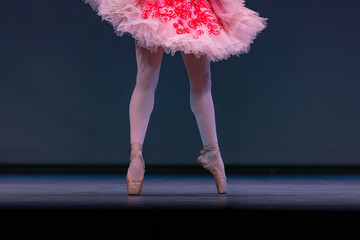 Closeup of ballerinas dancing on stage.