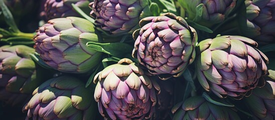 Fototapeta premium Outdoor Italian food market selling fresh Italian artichokes perfect for adding to your dishes Copy space image to showcase their vibrant colors