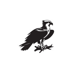 Osprey Bird Silhouette: Vector Graphics Depicting the Agile Flight and Hunting Skills- Osprey Bird Vector - Osprey Bird Illustration.