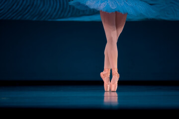 Closeup of ballerinas dancing on stage. © Ruslan