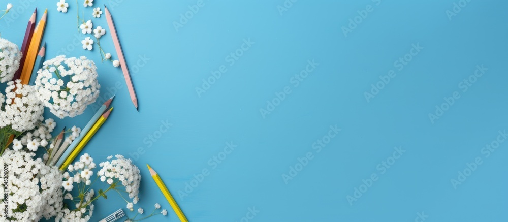 Poster the top view of a blue background with color pencils pens counting sticks and a sprig of white gypso