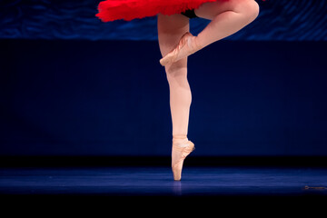 Closeup of ballerinas dancing on stage. © Ruslan