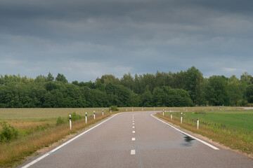 Fototapeta premium road in the countryside