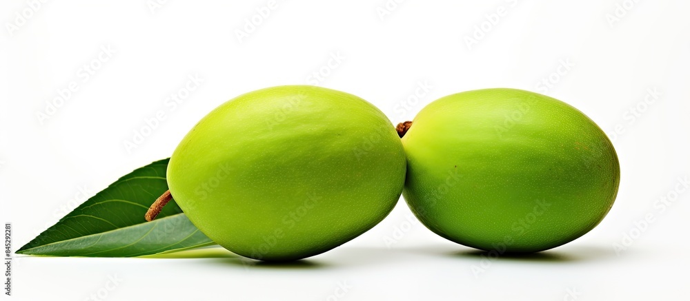 Poster a single raw green mango with its stem is captured in a close up view the mango symbolizing natural 