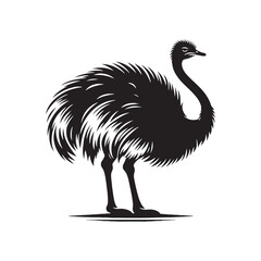 Ostrich Silhouette: Vector Graphics Depicting the Speed and Power of These Flightless Birds- Ostrich Vector - Ostrich Illustration.