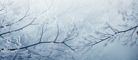 The plants leaves and branches are beautifully coated in a thick blanket of frost creating a serene and wintry backdrop in nature with ample copy space for artistic creativity