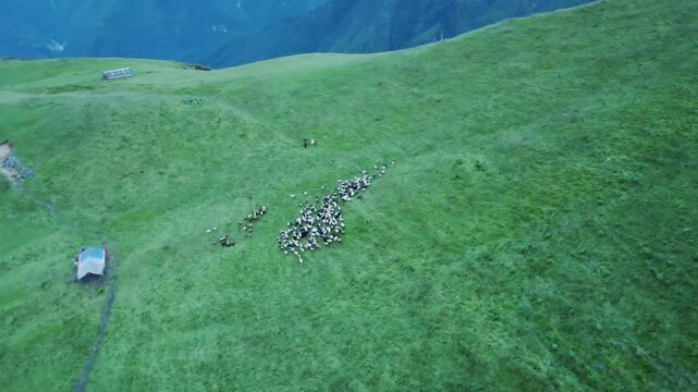 aerial view of greenery mountain hill during Monsoon season in Kori, Nepal.