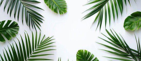 Green palm leaf branches on a white background in a flat lay, viewed from above