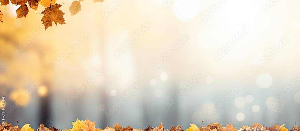 Poster A captivating autumn background with a blurred bokeh effect showcases a scenic landscape filled with vibrant trees falling leaves and the vast sky The image features a stunning array of yellow autumn