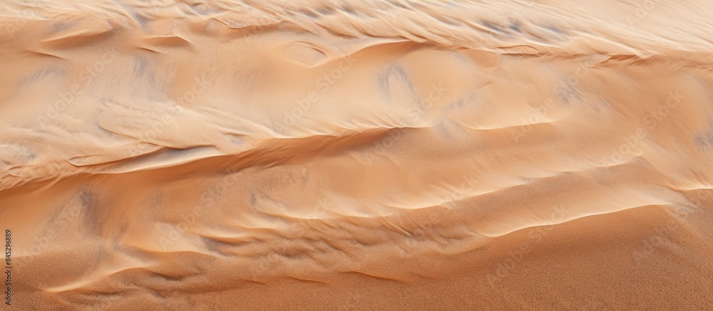 Leinwandbilder sea sand with a textured surface marked by bird tracks creates a natural background the waves of san