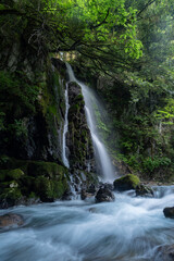Obraz premium 美しい滝のある風景