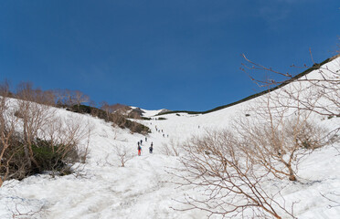 雪山を登る