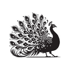Peafowl Silhouette: Perfect for Nature-inspired Designs and Wildlife Enthusiasts - Peafowl Vector - Peafowl Illustration.