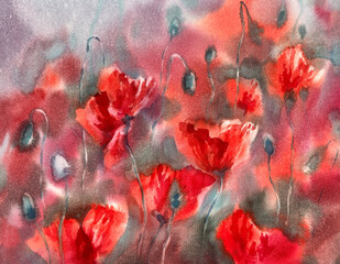 Red flowering poppy field abstract watercolor background