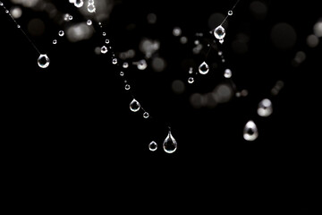 water droplets on black background