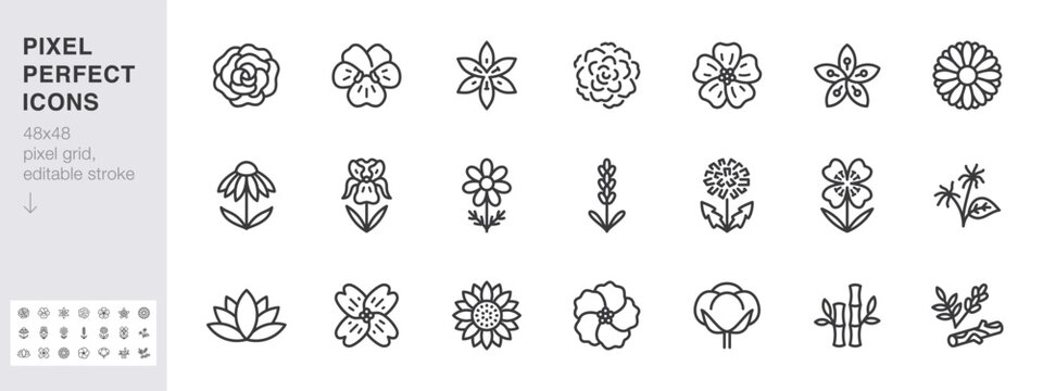 Medical flowers line icon set. Rose, violet, jasmine, calendula, echinacea, iris, chamomile minimal vector illustrations. Simple outline signs for cosmetic plants. 48x48 Pixel Perfect Editable Stroke