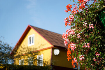 Flowers and traditional Karaim house - Trakai, Lithuania
