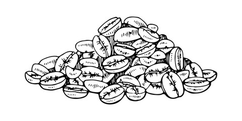 Coffee Bean pile Vector hand drawn illustration. Cafe grain sketch drawing. Vintage black line art on isolated white background. Clipart for graphic design. Seed in retro style for food packaging