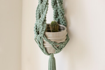 Doniczka makrama z kaktusami na jasnym pastelowym tle © Anna
