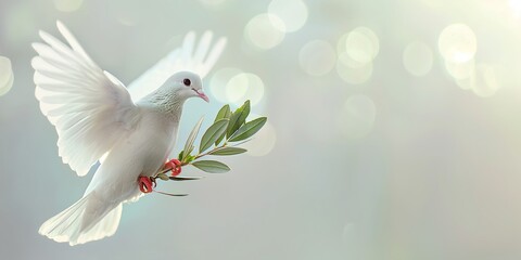 Fototapeta premium A white dove soars gracefully with an olive branch in its beak against a soft background, symbolizing peace, hope, and purity in a visually serene and harmonious scene.