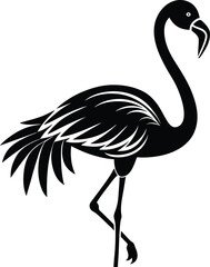 illustration of flamingo isolated on white background eps 10