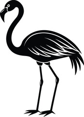 illustration of an ostrich isolated on white background eps 10