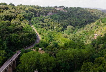 Road in the middle of the woods