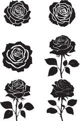 Rose silhouette,vactor