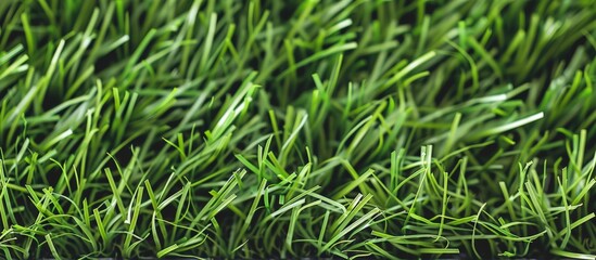 Obraz premium artificial green grass texture