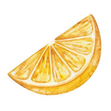 recommend clip art: Watercolor set of illustrations. Hand painted yellow lemon, cut, sliced, round. Citrus fruit. Watercolor lemon. Raw, ripe lemon plant, side view. Vitamin C. Nature element. Isolated food clip art