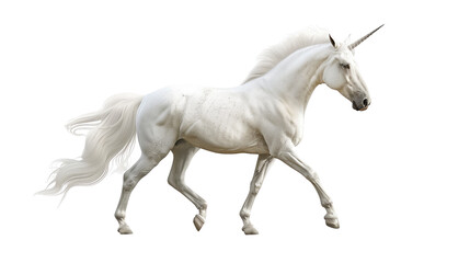 White unicorn horse on transparent background